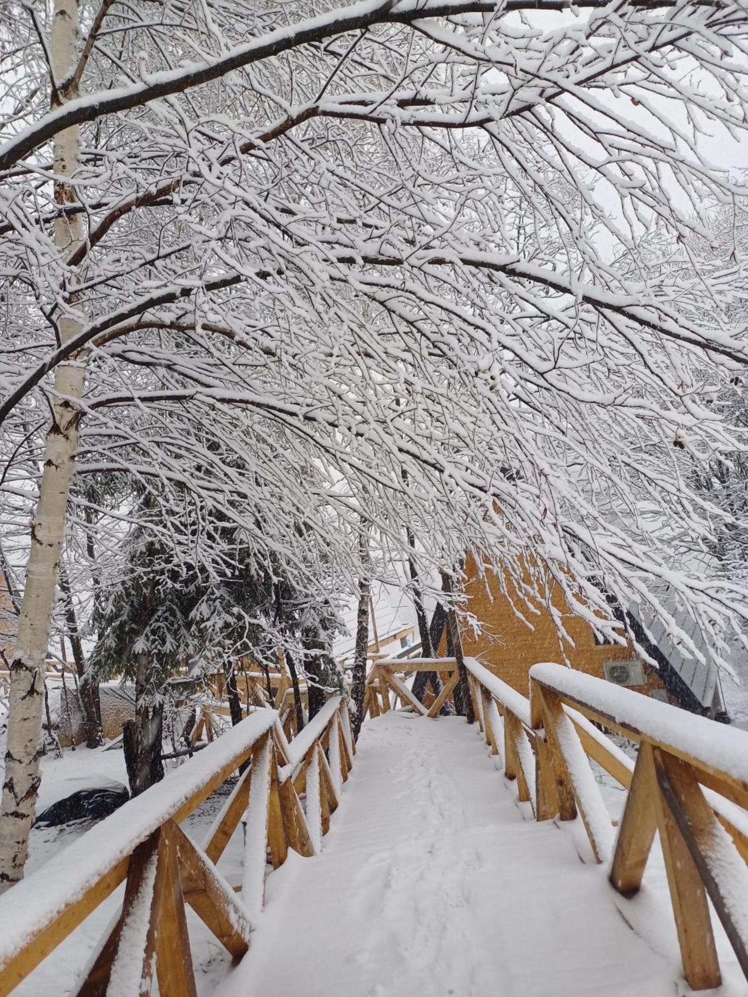 Cabana 365 Brašov Exteriér fotografie