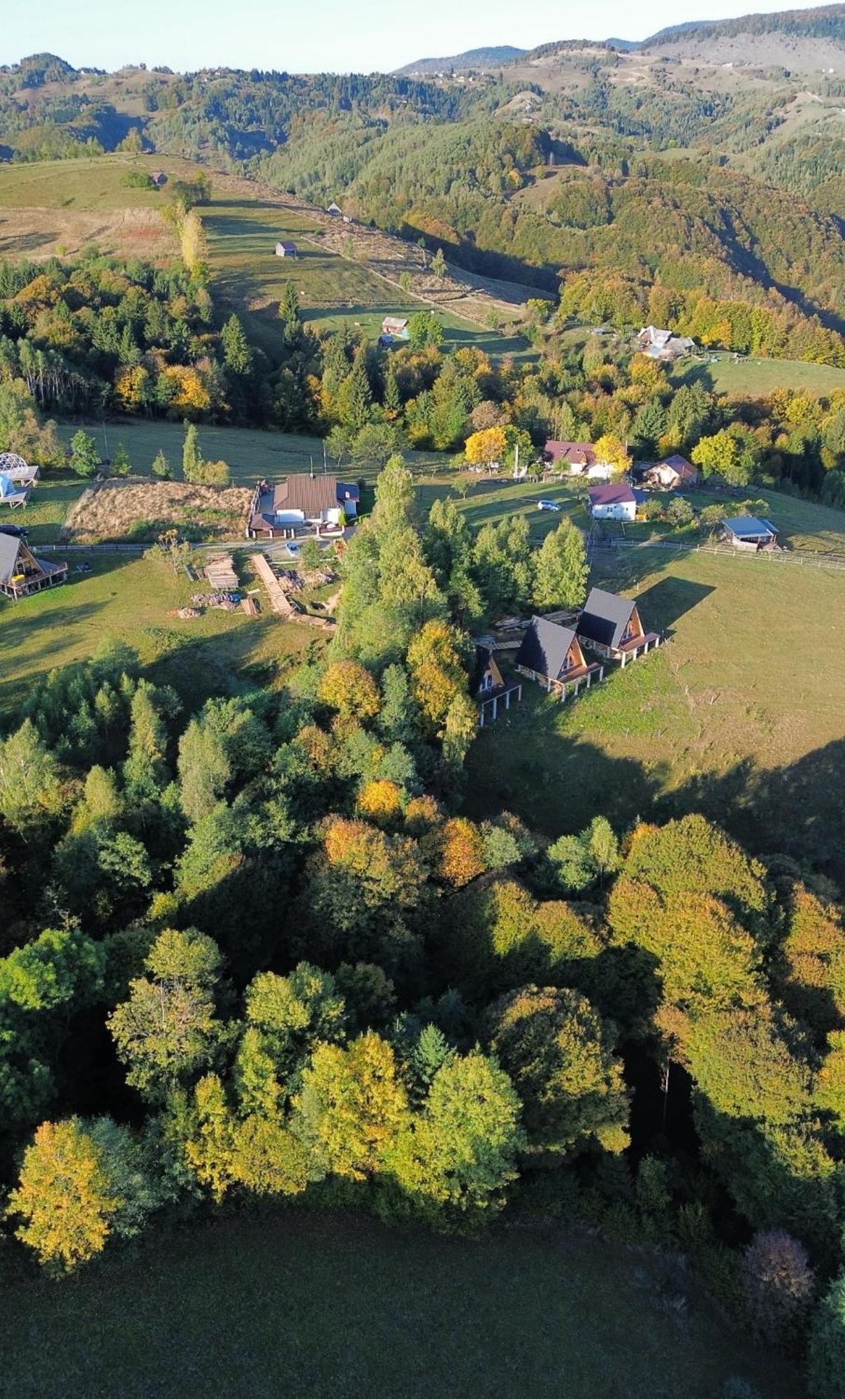 Cabana 365 Brašov Exteriér fotografie