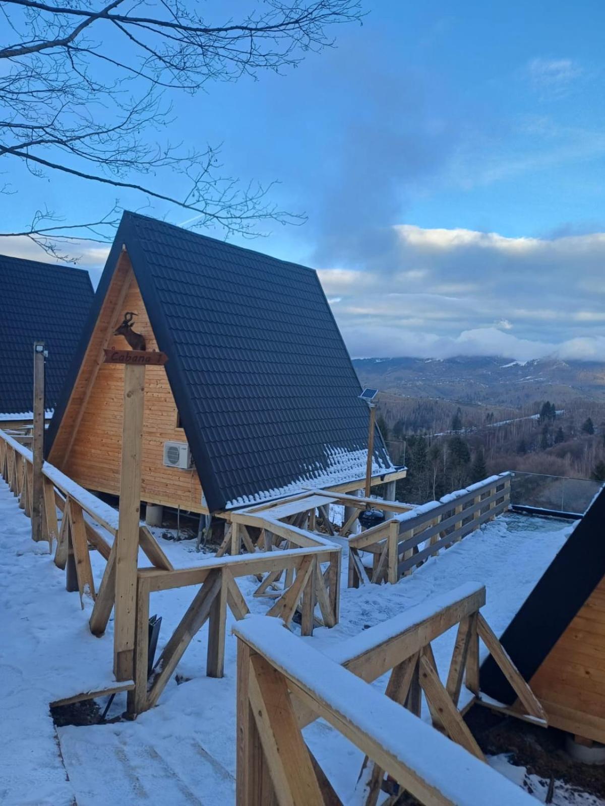 Cabana 365 Brašov Exteriér fotografie