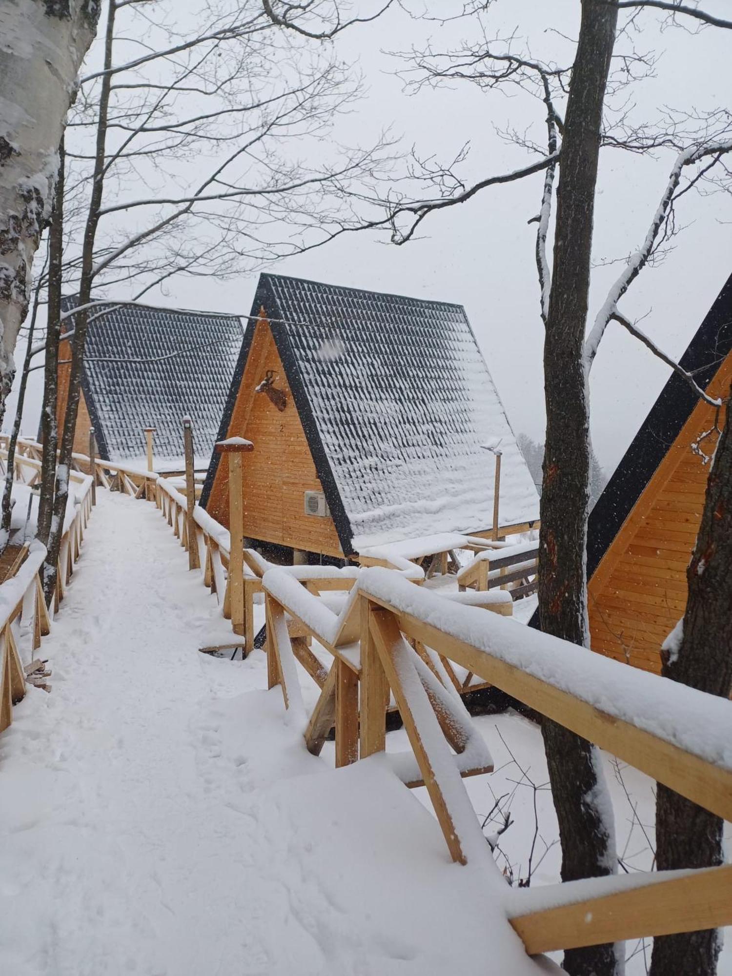 Cabana 365 Brašov Exteriér fotografie