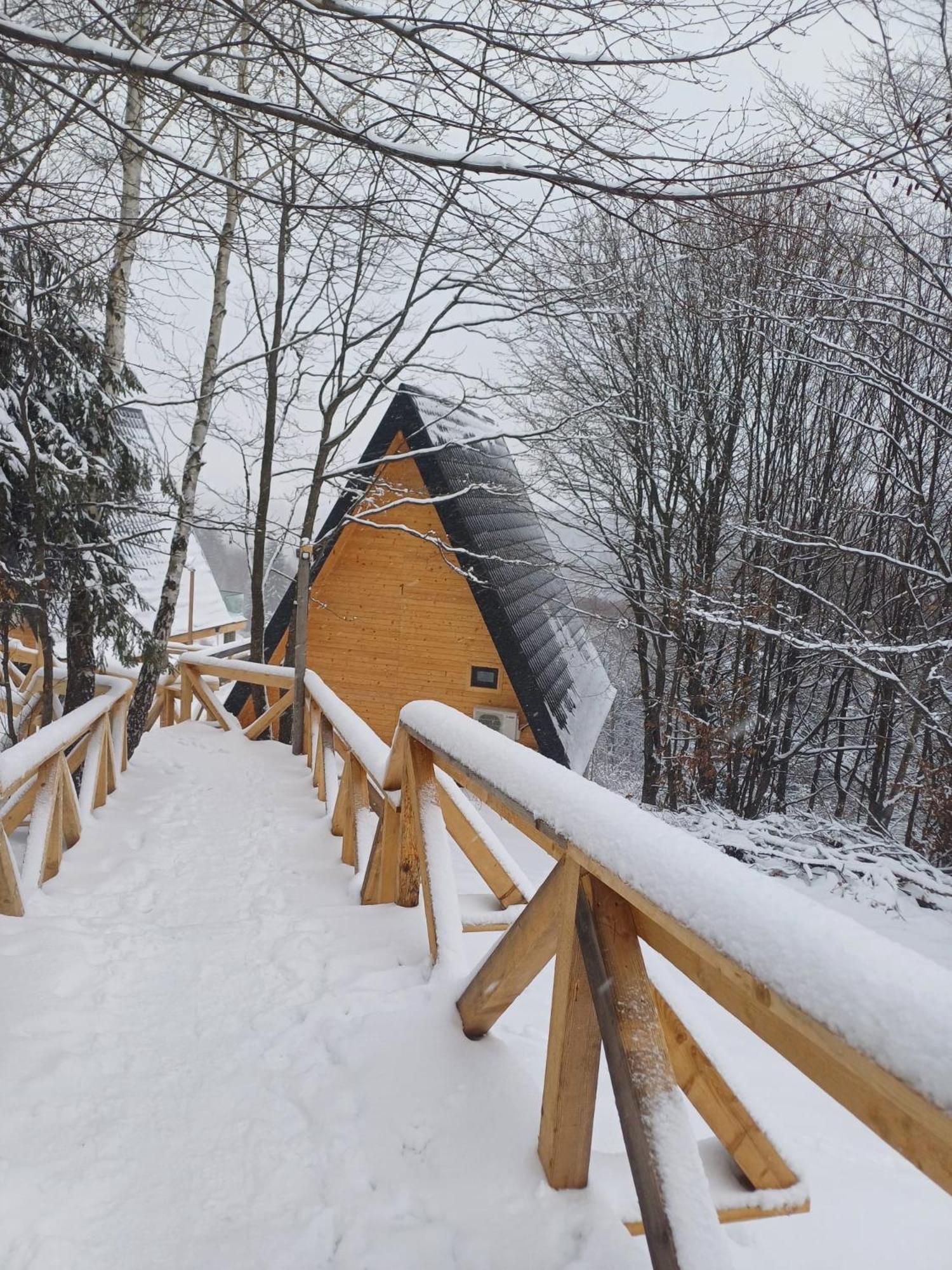 Cabana 365 Brašov Exteriér fotografie